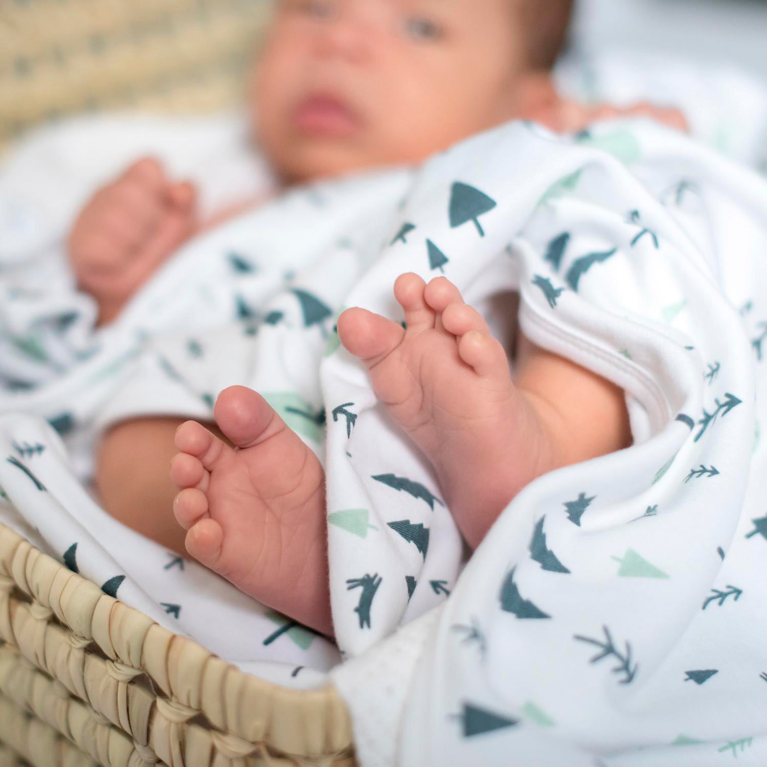 Pies de bebé con Manta Forest de algodón orgánico | Chin Pum