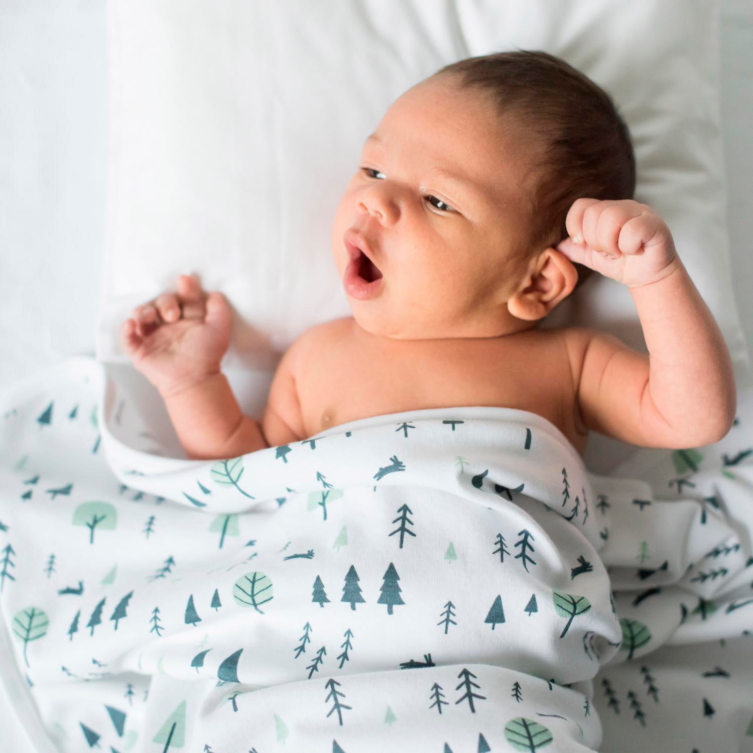 bebé bostezando con Manta Forest de algodón orgánico | Chin Pum