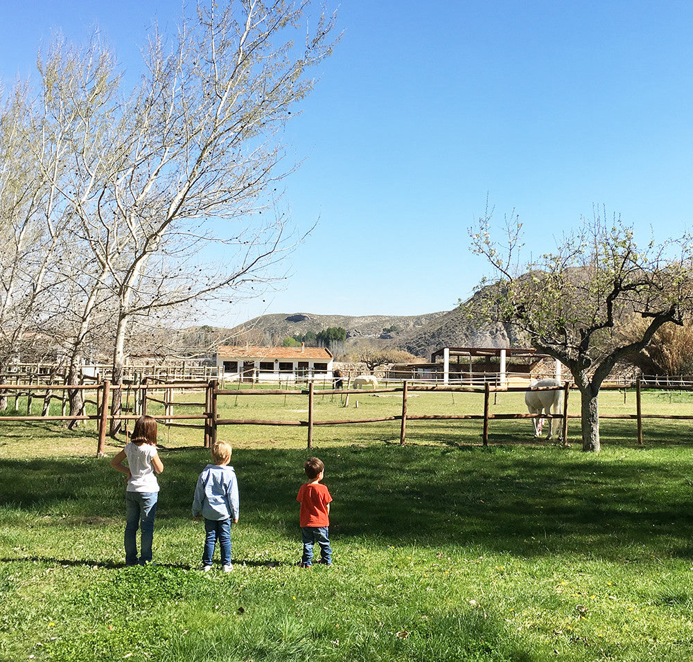 Niños en el campo
