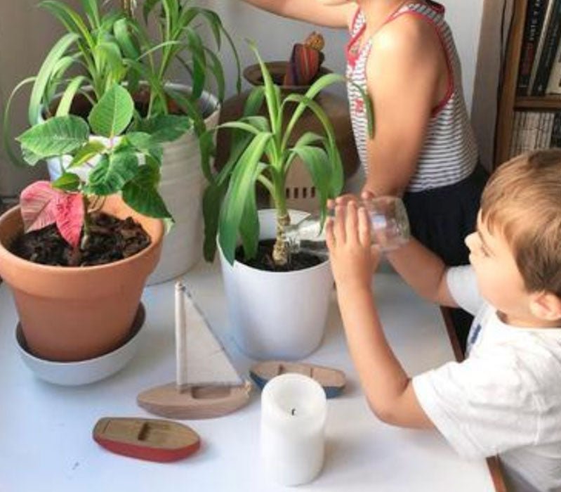 Dos hermanos regando plantas en casa.