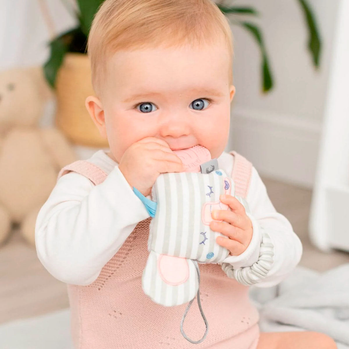 Bebé con mordedor Silicona texturas Elefante | Chin Pum