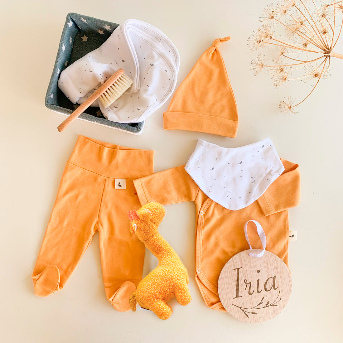 Canastilla Recién Nacido Calabaza | Chin Pum