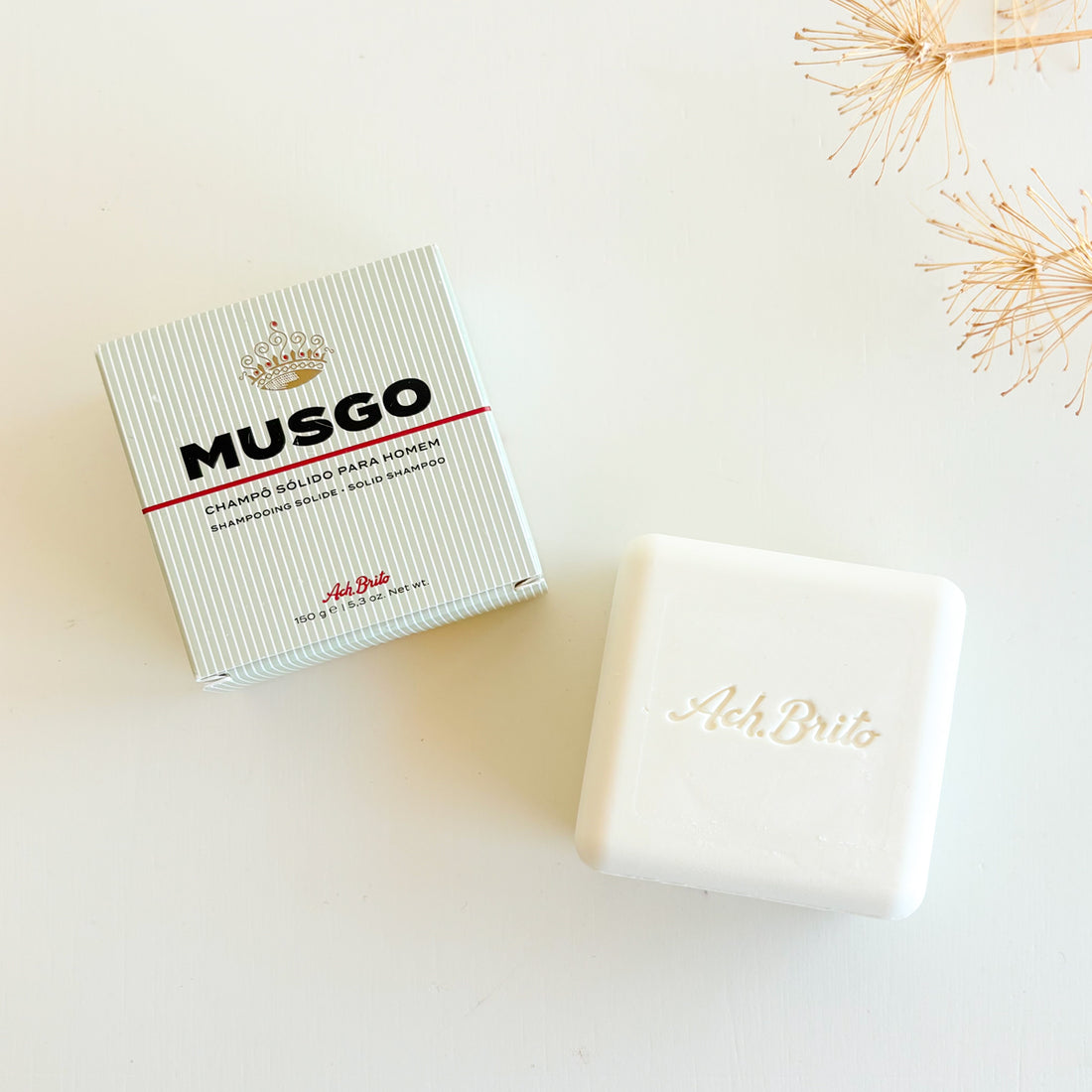 champú sólido Musgo  | Chin Pum