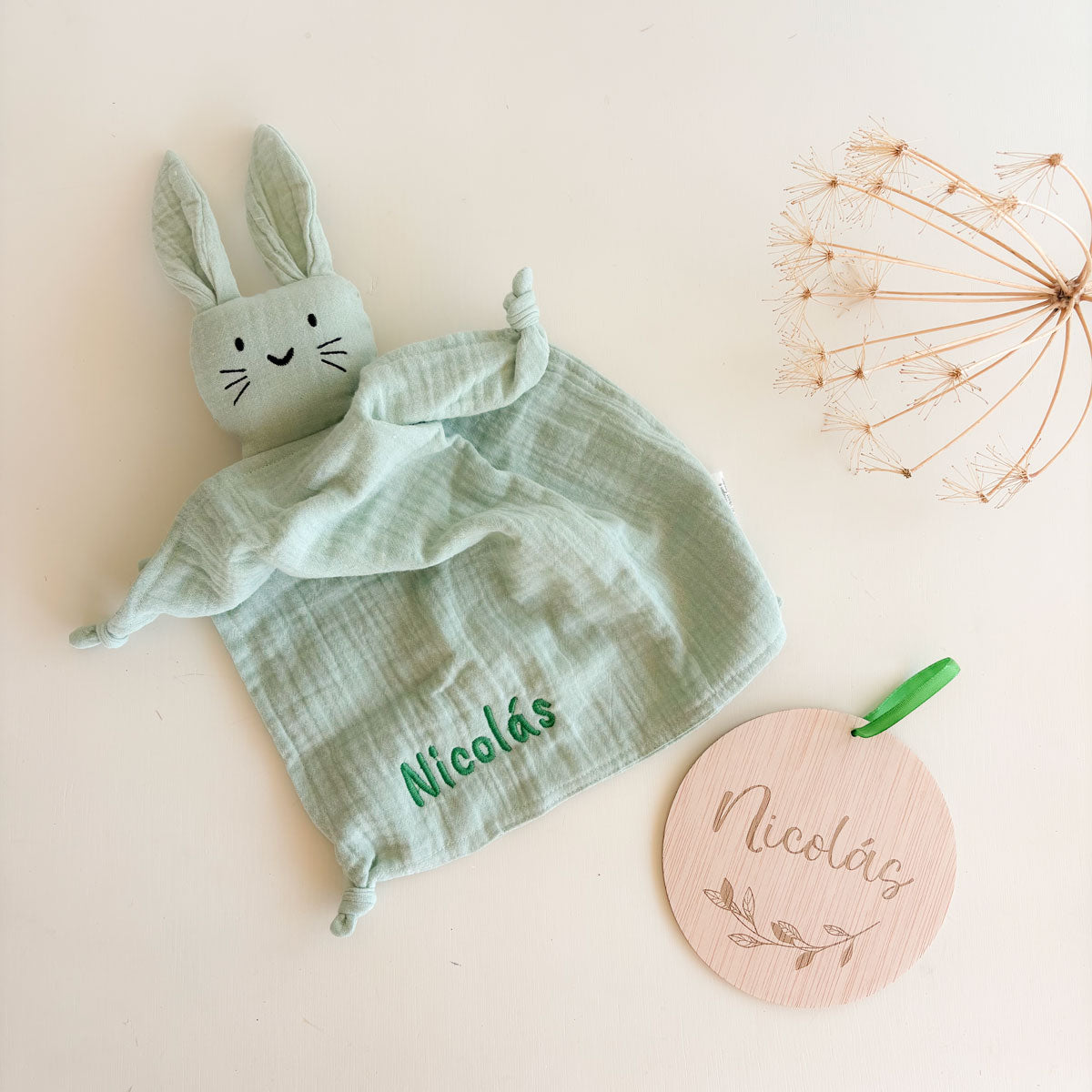 Doudou y disco personalizado Selva Verde | Chin Pum