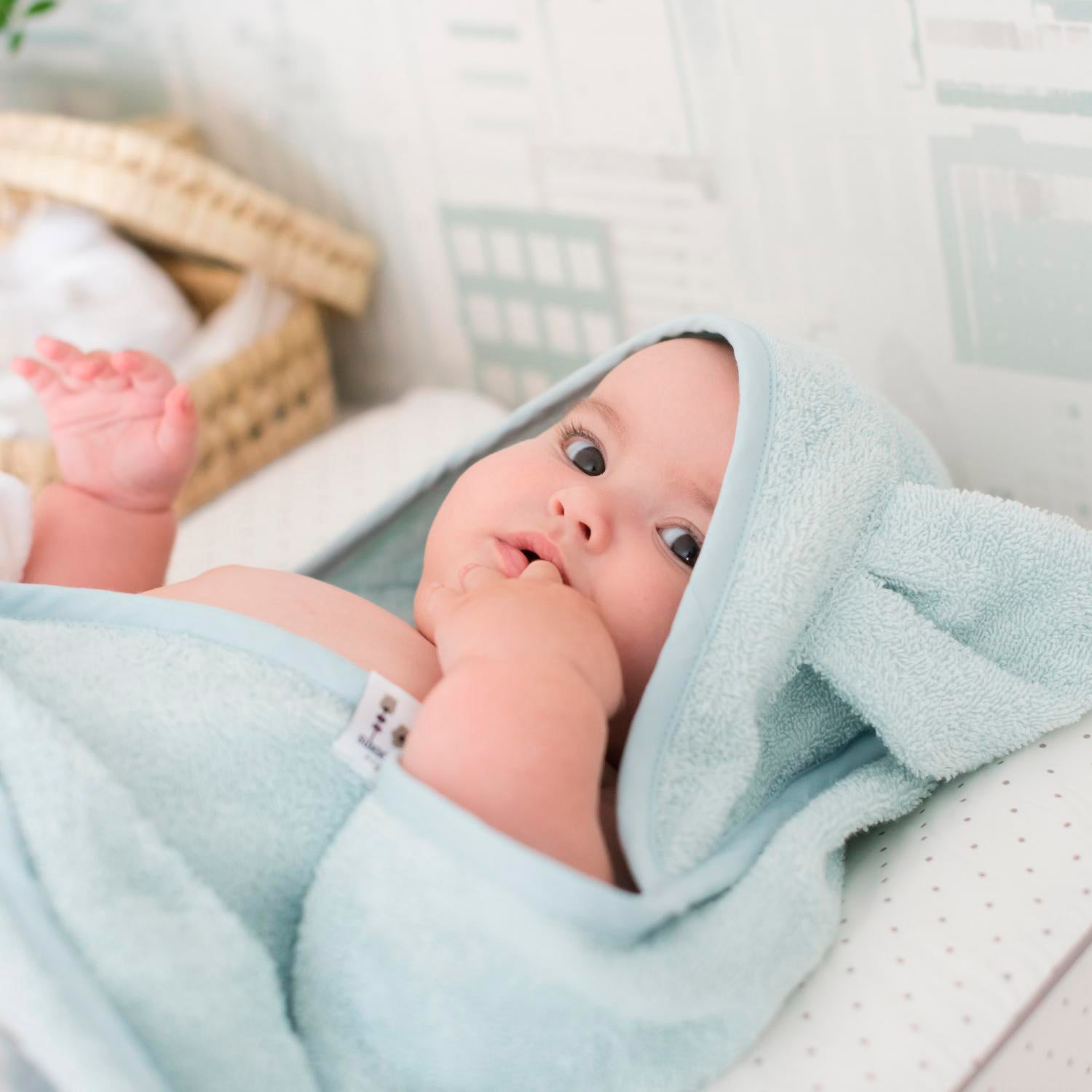 Bebé con toalla capucha conejo azul | Chin Pum