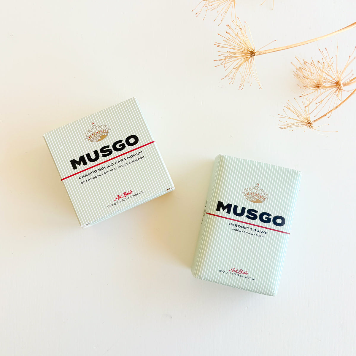 Jabón y champú sólido Musgo  | Chin Pum